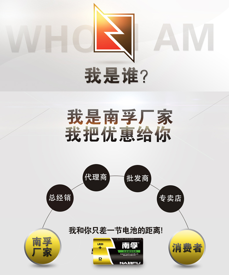 南孚(NANFU)1號堿性電池2粒 大號電池 適用于熱水器/...-京東