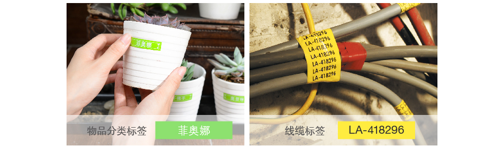 兄弟（brother）TZe-Z111 6mm透明底黑字標簽色帶 (適用所有兄弟PT系列）-京東